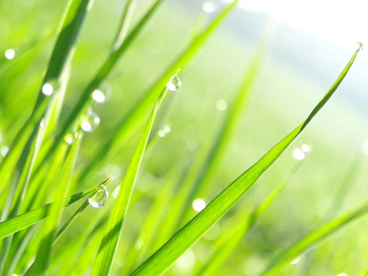 【関屋記念】カフェブリリアントに"恵みの雨"!