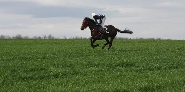 【キーンランドC】ウキヨノカゼがスプリント界に"新風"巻き起こす！