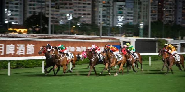 【スプリンターズS】エアロヴェロシティ今年は出走せず、香港スプリントで一発勝負