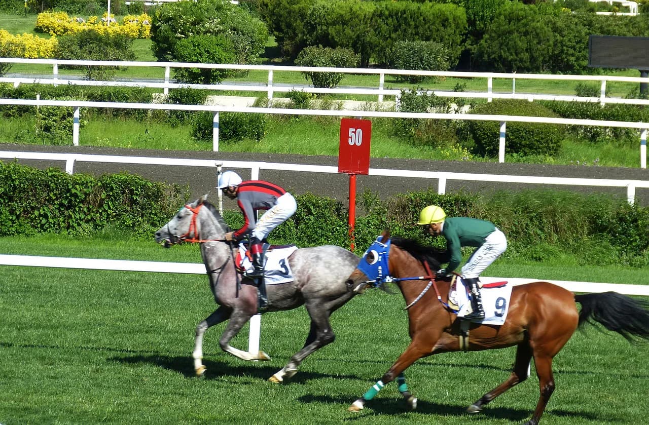 【札幌記念】"実績"のG1馬か、それとも"調子"のG3馬か