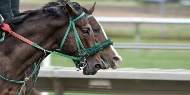 【スプリンターズS予想2016】逃げるしかない1番人気、今年も波乱に警戒が必要か？