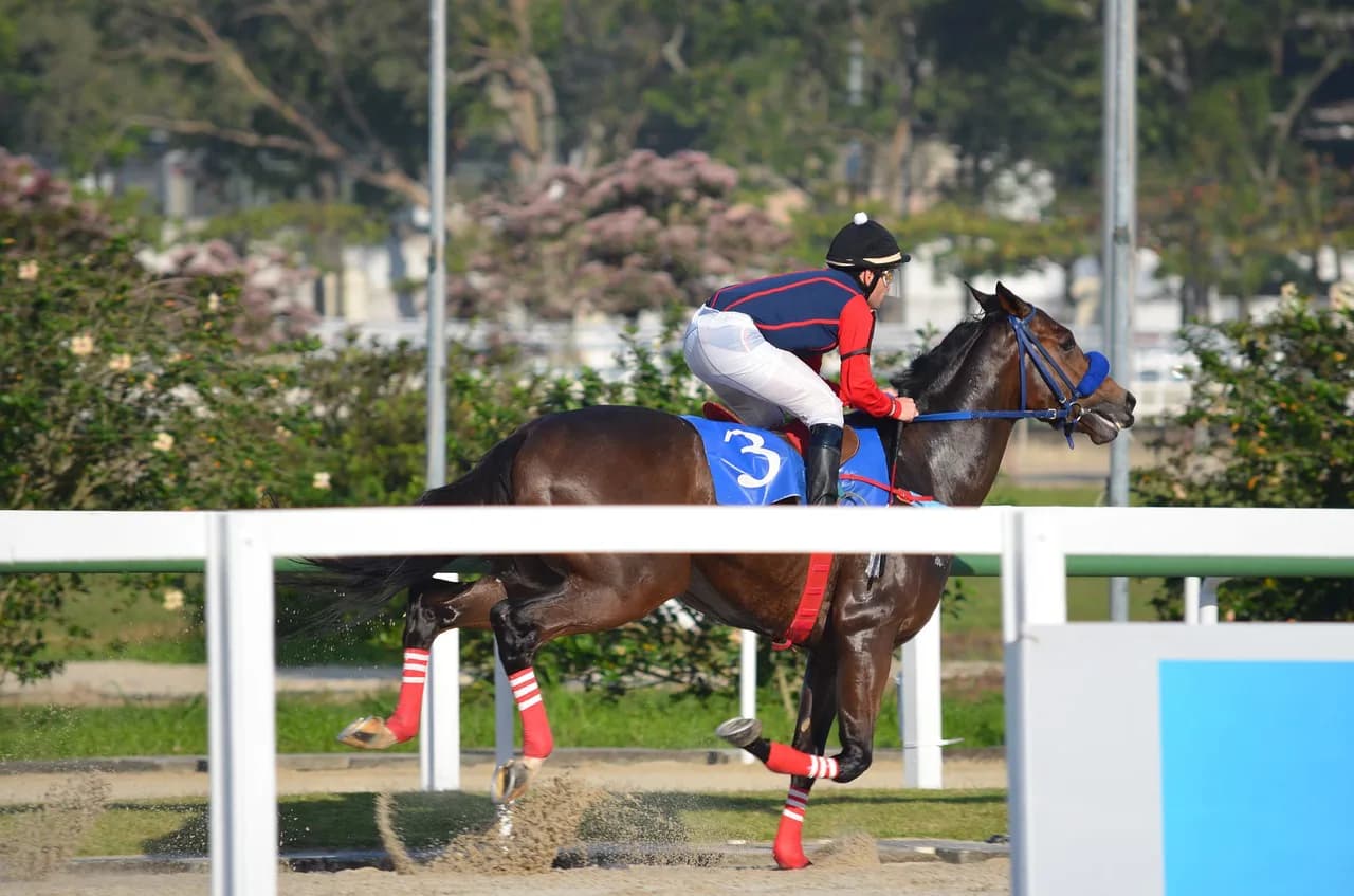 【弥生賞2019予想】調教・最終追い切りが高評価の馬トップ4