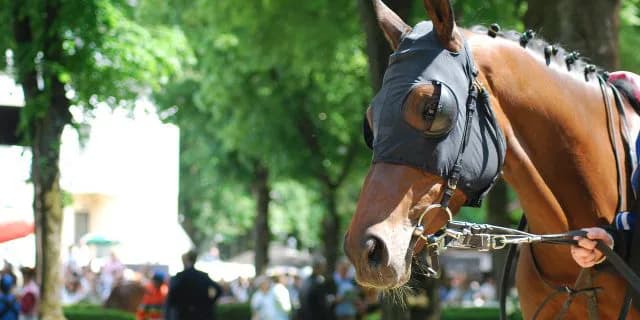 【クイーンS】メイショウスザンナ待望の重賞初制覇を果たす！