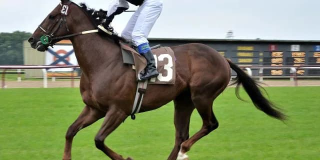 【小倉記念】フレージャパン絶好調！坂路時計50.1秒