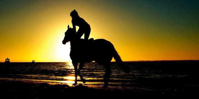 【AJCC2016】デビュー3年目の石川、ライズトゥフェイムで名声上げれるか