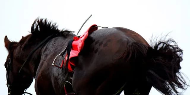 【日経賞2016予想】ゴールドアクターの勢いは”ホンモノ”か？