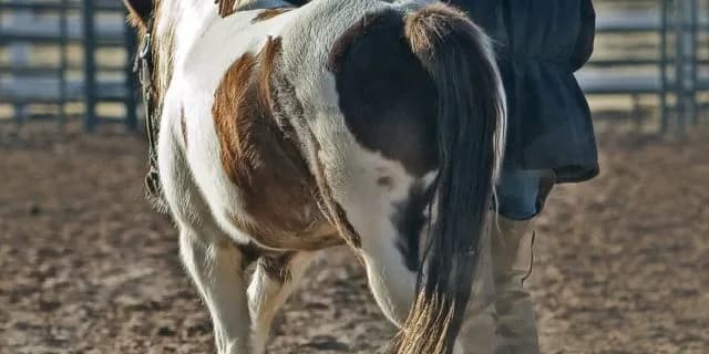 相次ぐ若手騎手の引退。騎手を長く続けられない時代になった理由とは？