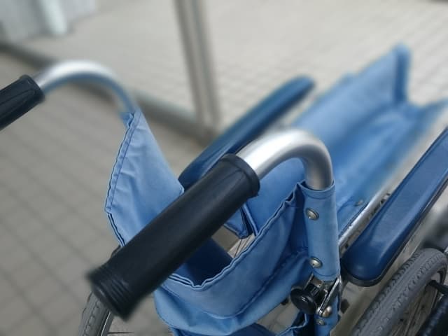 【ローズS】蛯名とショウナンアデラ、"骨折明け"コンビが復活！注目の秋華賞トライアル！