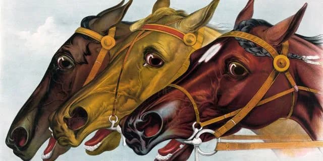 【オールカマー予想】額に白い星のメイショウ3頭！"白い三連星"炸裂か？