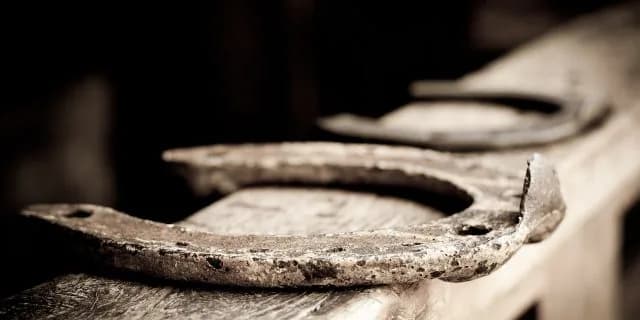 冠名ミュゼ全馬揃ってヤマイチへ。ミュゼプラチナムの私的整理の影響か