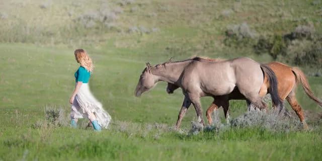 馬で買う？騎手で買う？2015年スプリンターズS予想の悩ましい点