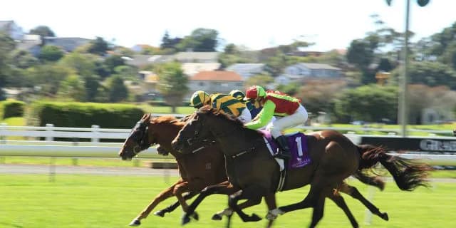 【セントウルS結果】アクティブミノル逃げ切りV！1200mは3戦3勝、スプリンターズSへの期待高まる