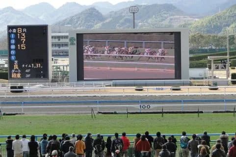 【スワンS予想】混戦必至！サトノルパン飛躍狙う