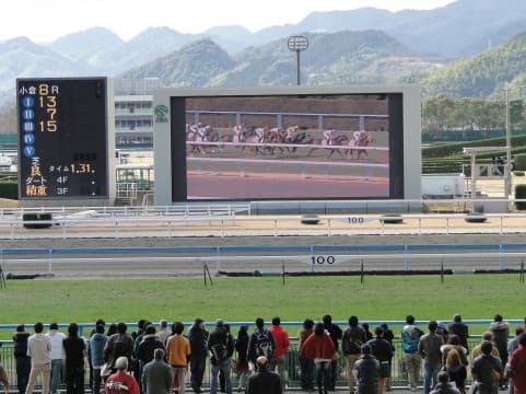 【スワンS予想】混戦必至！サトノルパン飛躍狙う