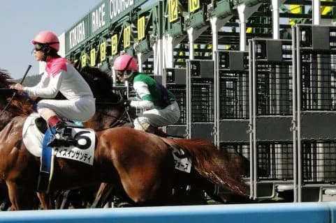 最期までヤンチャなゴールドシップ、引退前にゲート再審査