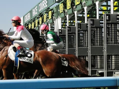 最期までヤンチャなゴールドシップ、引退前にゲート再審査