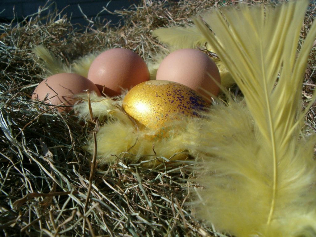 【注目新馬】ベルーフ半妹ルフォールがデビュー