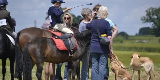 乗馬やホースセラピーの楽しめるサンクスホースデイズに学ぶ馬の無限の可能性