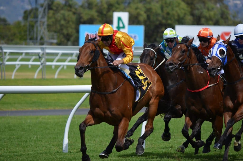 【秋華賞2015結果】ミッキークイーン、今後は未定も古馬や牡馬との対戦に期待大