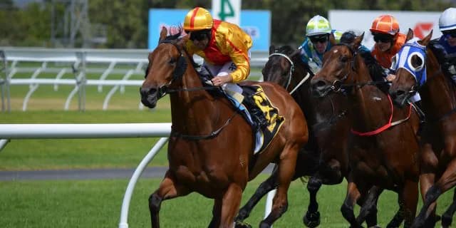 【秋華賞2015結果】ミッキークイーン、今後は未定も古馬や牡馬との対戦に期待大