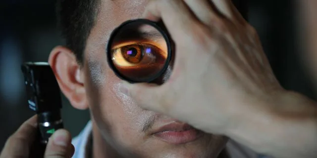 2015年第152回天皇賞・秋で絶対に抑えておきたい見どころ3点