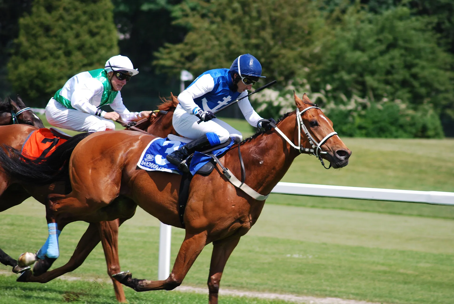 【府中牝馬S2015結果】11番人気のノボリディアーナが女王杯への切符を獲得
