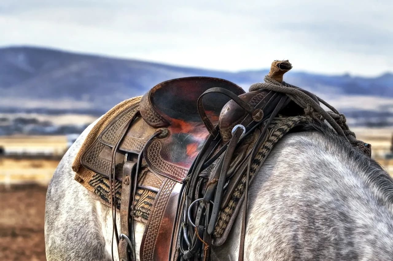 ゴールドシップ引退戦の有馬記念では未定の鞍上には誰が乗る？
