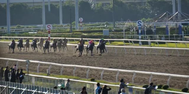 【武蔵野S2015】ノンコノユメ、11頭をゴボウ抜き！
