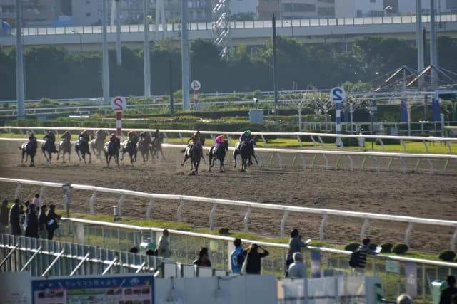 【武蔵野S2015】ノンコノユメ、11頭をゴボウ抜き！