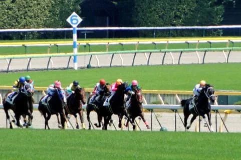 【天皇賞秋2015】1番人気のラブリーデイ快勝。次走はジャパンカップを予定！