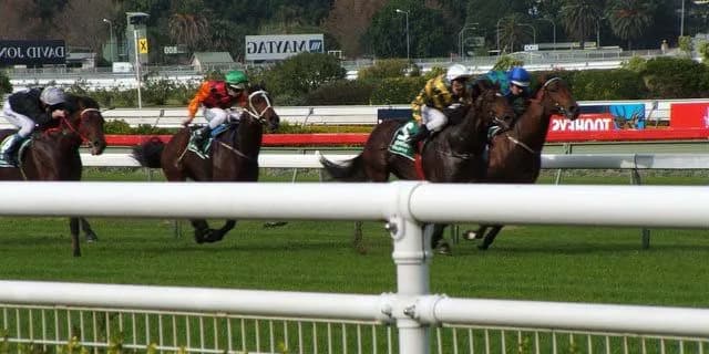 【ジャパンC2015】ショウナンパンドラ優勝！次走は有馬記念か？