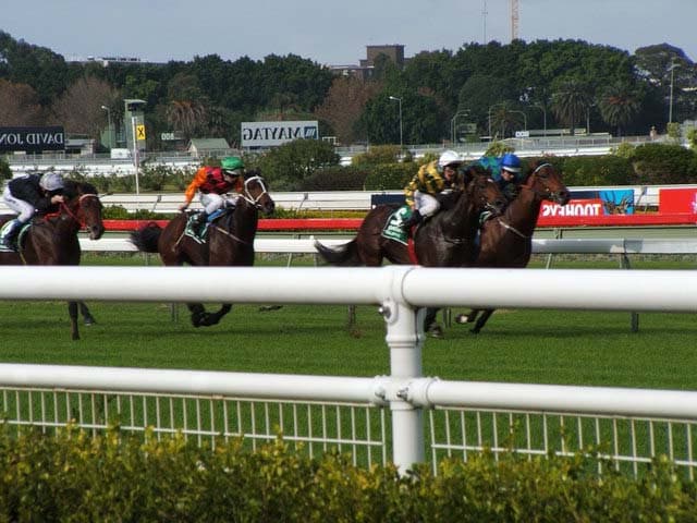 【ジャパンC2015】ショウナンパンドラ優勝！次走は有馬記念か？