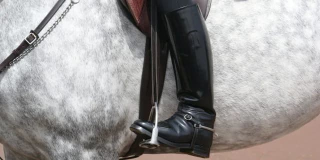 【有馬記念2015】ゴールドシップの騎手は"あの騎手"に・・・？