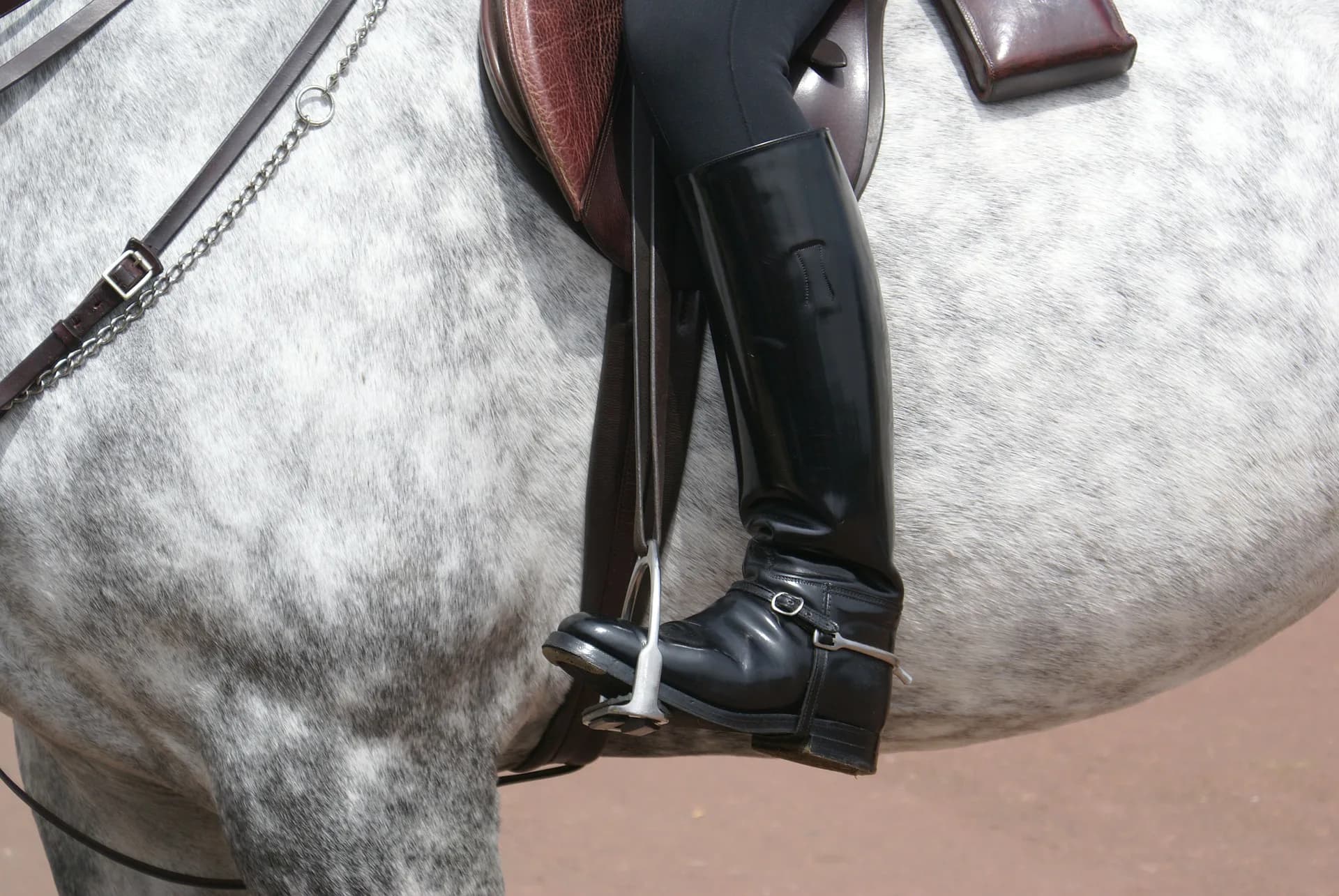 【有馬記念2015】ゴールドシップの騎手は"あの騎手"に・・・？
