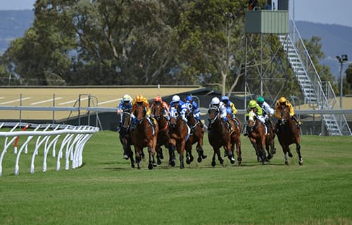 【エリザベス女王杯2015】マリアライト、新女王に輝く