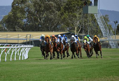 【エリザベス女王杯2015】マリアライト、新女王に輝く