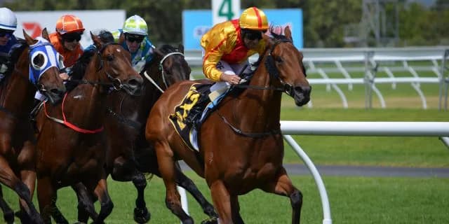 ゴールドアクター差し切りV！次はジャパンカップか？