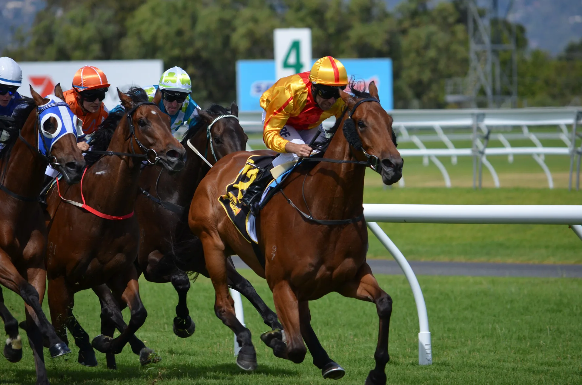 【金鯱賞2015】ミトラが差し切りV!次走は有馬か?
