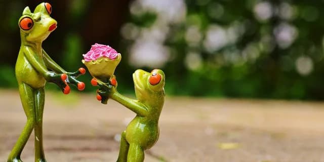 【注目新馬】ダイワスカーレット産駒ダイワウィズミーがデビュー