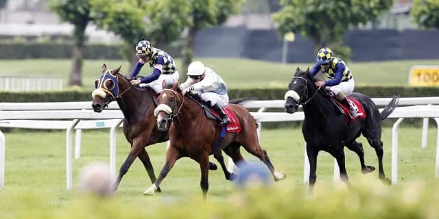 【チャレンジカップ2015】フルーキー、M.デムーロコンビで重賞初制覇！