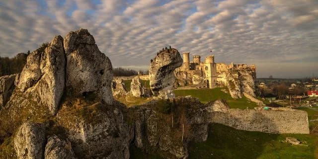 多頭数のエリザベス女王杯。有力馬が前々でシャトーブランシュの一発狙い！