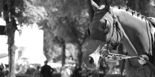 【エリザベス女王杯予想】ヌーヴォレコルトの2つの不安要素とは？