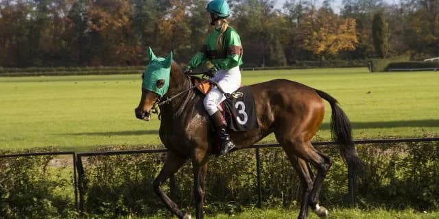 【京阪杯2015】サトノルパン優勝！次走はシルクロードS！