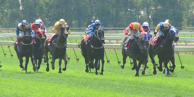 【マイルCS2015】モーリス5連勝！今後は香港国際レースへ？