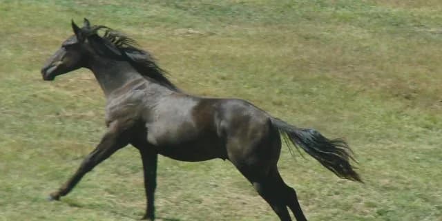 【マイルCS予想2015】絶好調の浜中でロゴタイプ復権の兆し！