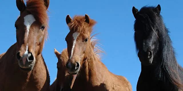 よりどりみどり？今年の武豊の2歳馬がすごい！