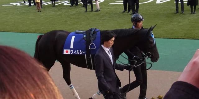 【注目新馬】ヴィルシーナ佐々木のあとに続けるか！？大物2歳馬の馬主に元野球選手・吉井理人さん