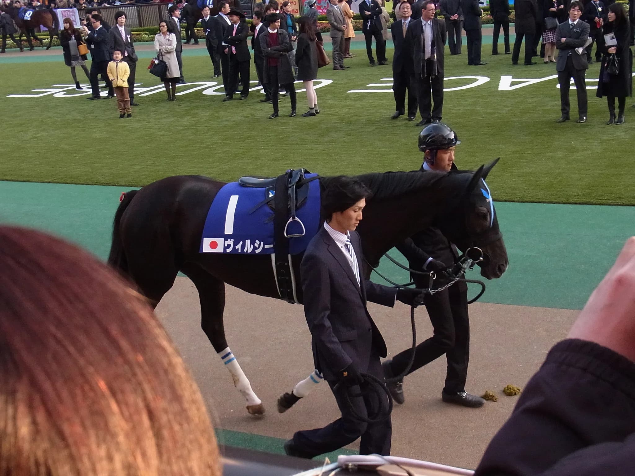 【注目新馬】ヴィルシーナ佐々木のあとに続けるか！？大物2歳馬の馬主に元野球選手・吉井理人さん