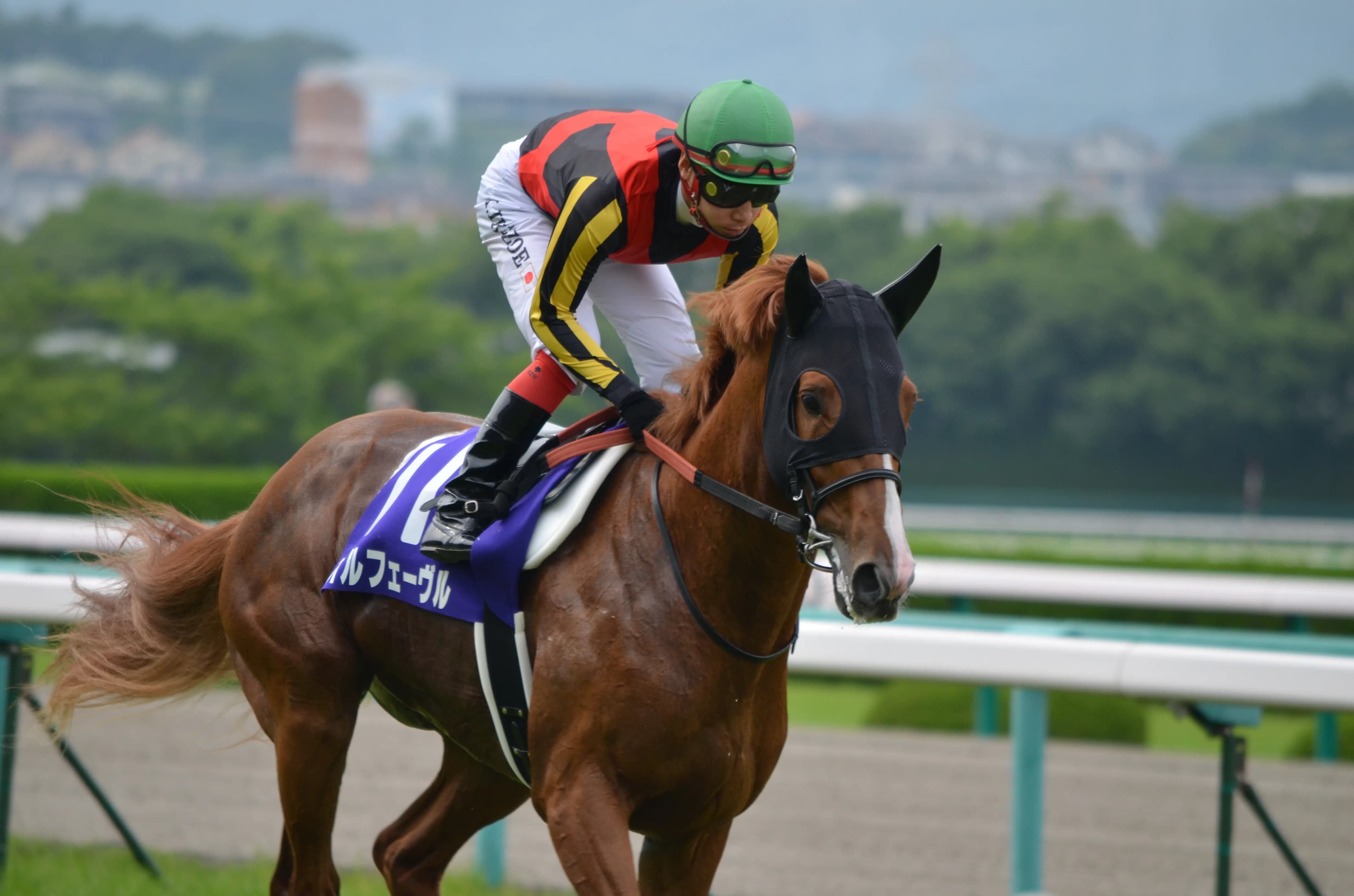 【青葉賞2016予想】迷ったら勝負服で買え!過去10年のデータから見えた傾向