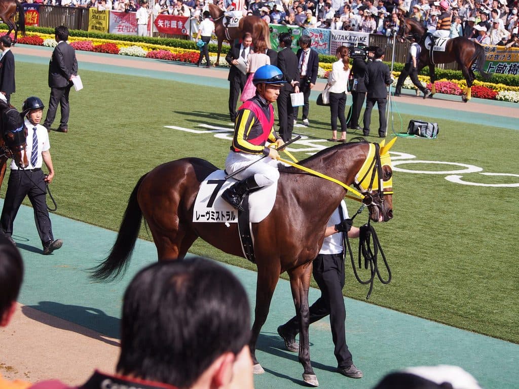 レーヴミストラル軸に点数を絞って当てたい金鯱賞